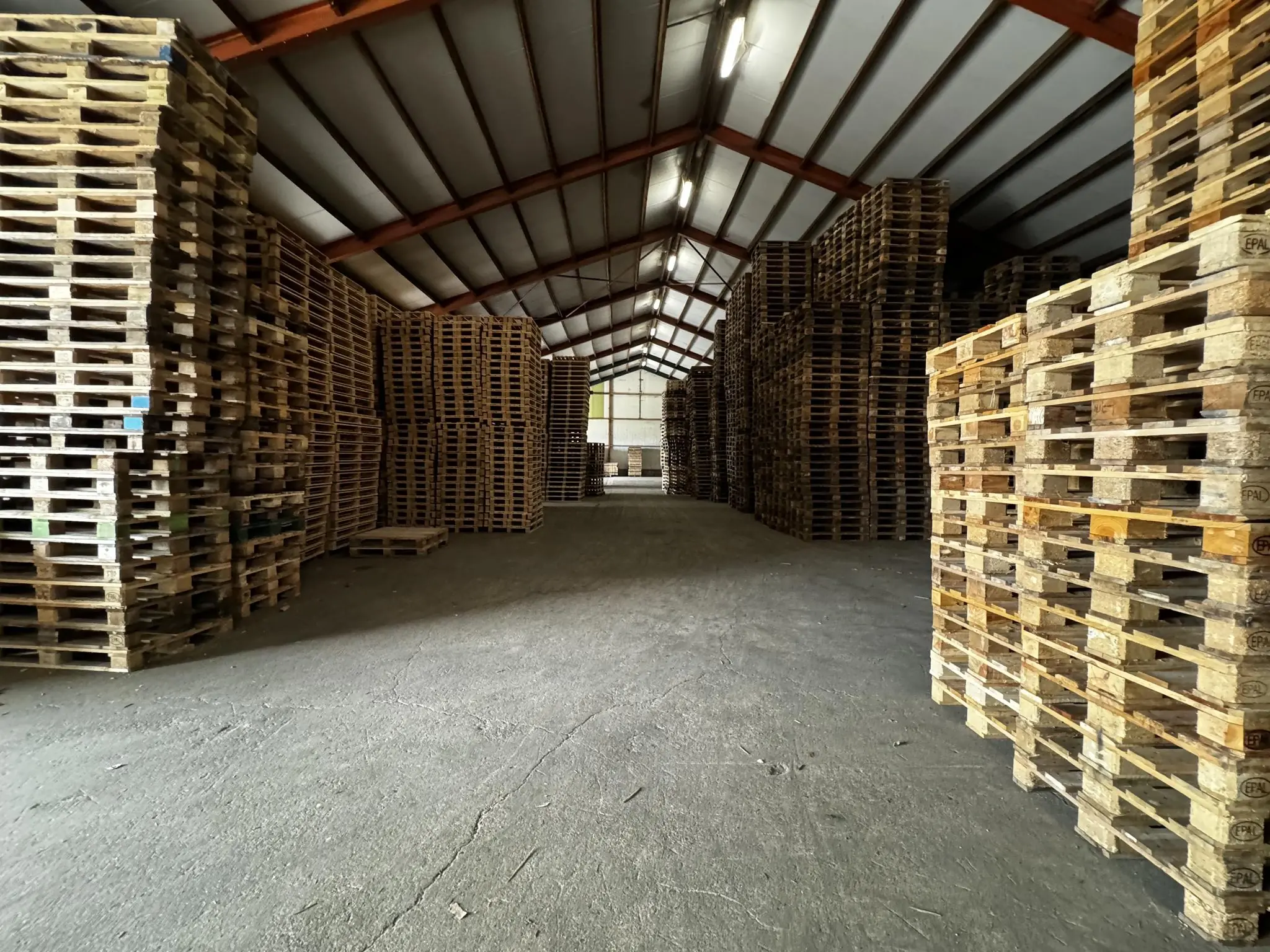 Stapels houten pallets in een grote loods aan de Graaf van Lynden van Sandenburgweg.